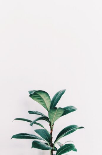 feature-image